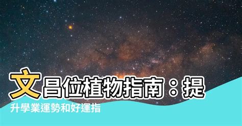 學業運|八字提升學業運需要什么 正官用印格方能大順